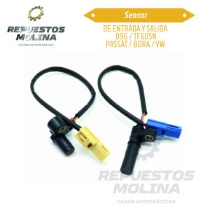 Sensor DE ENTRADA Y SALIDA  09G / TF60SN PASSAT / BORA / VW